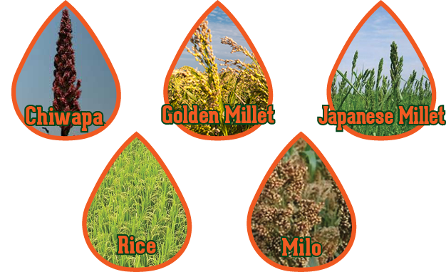 Offered in 20lb & 40lb bags | Planting Rate: 40lbs / acre