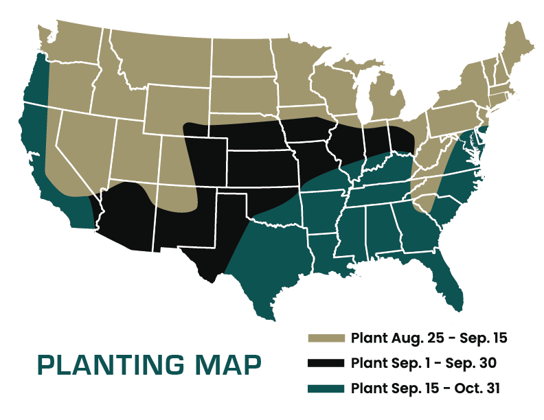 Buck Forage Oats - Planting dates