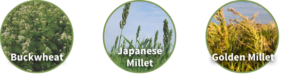 Available in 25lb bags | Planting Rate: 25lbs / acre