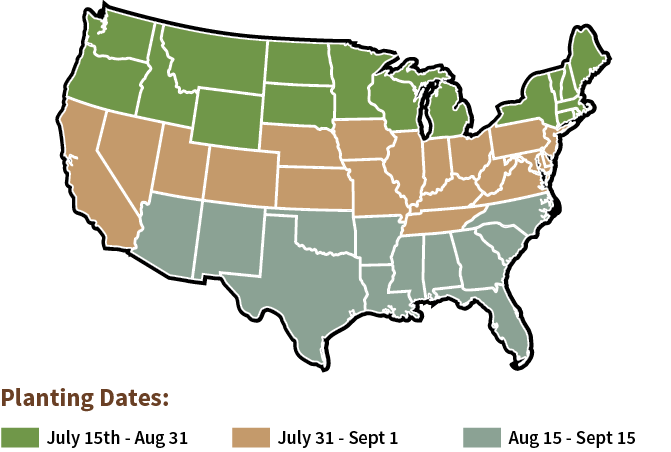 Bounty Hunter - Planting dates