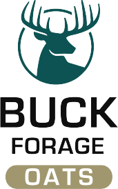 Buck Forage Oats